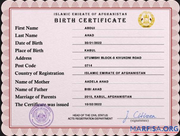 Blank Afghanistan vital record birth certificate PSD sample